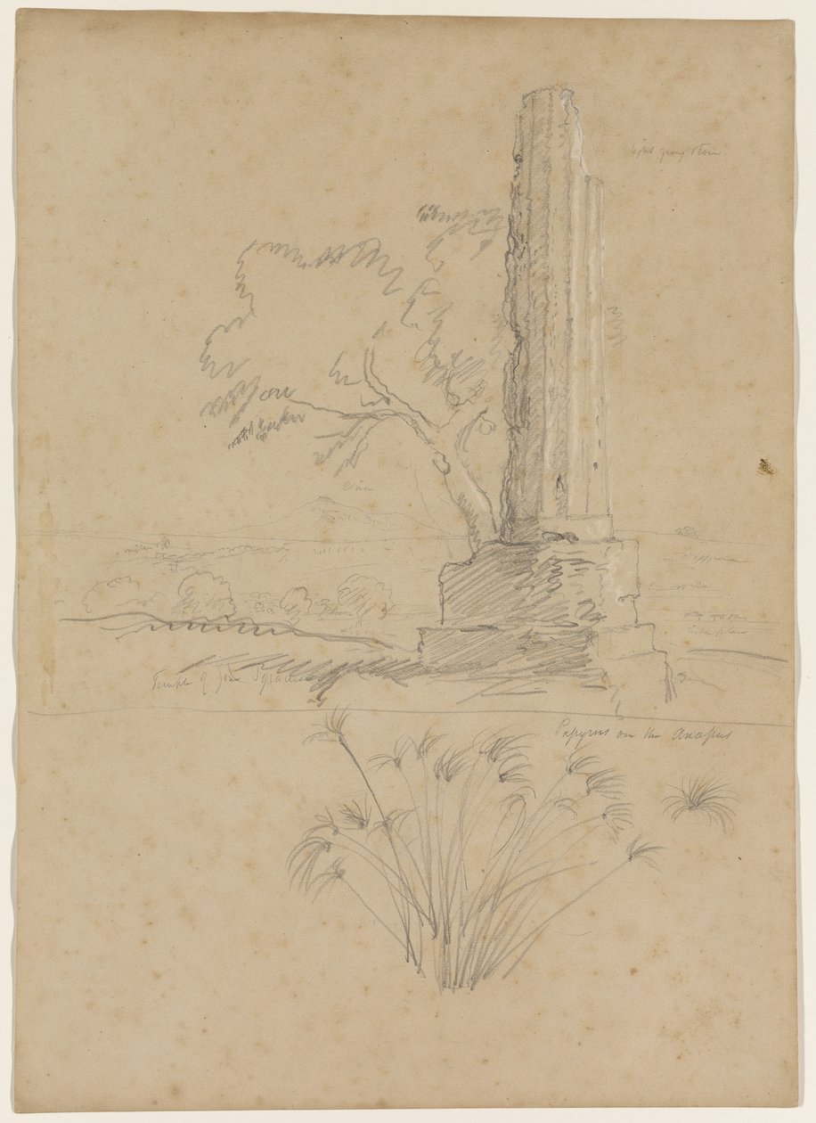 Temple de Zeus et papyrus sur la rivière Anapo, près de Syracuse, Sicile - Thomas Cole