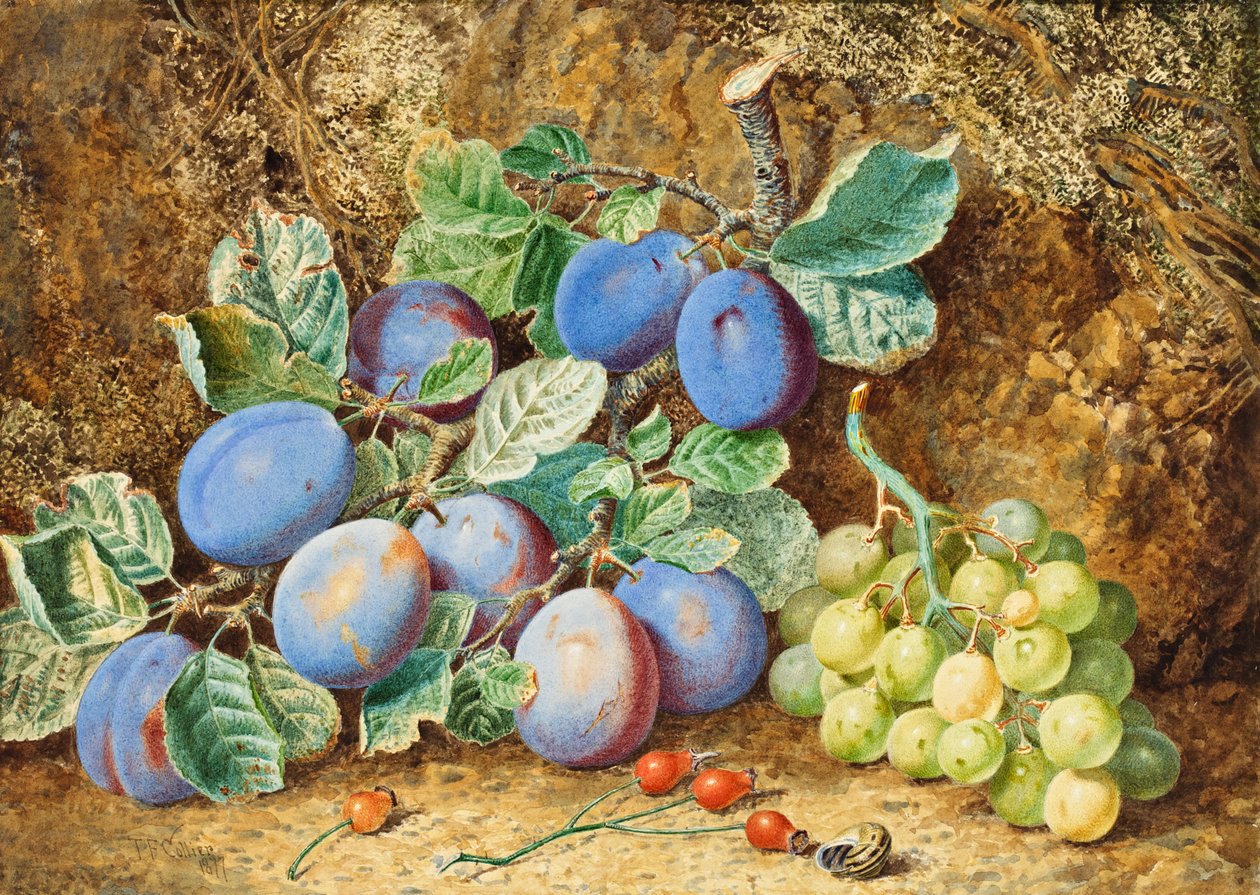 Prunes et raisins, 1877 - Thomas Collier