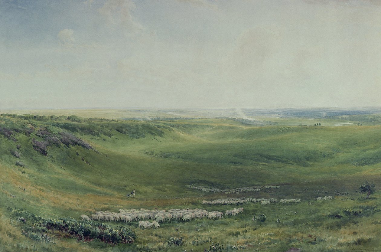 Vastes pâturages, Sussex - Thomas Collier