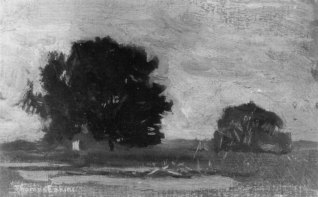 Image inconnue - Thomas Eakins