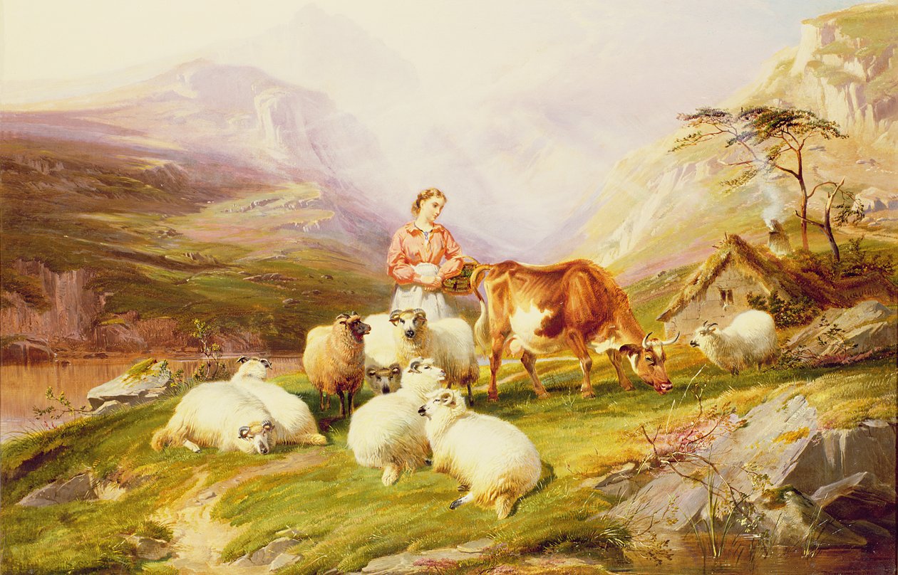 Vache et moutons dans un pâturage de montagne - Thomas George Cooper
