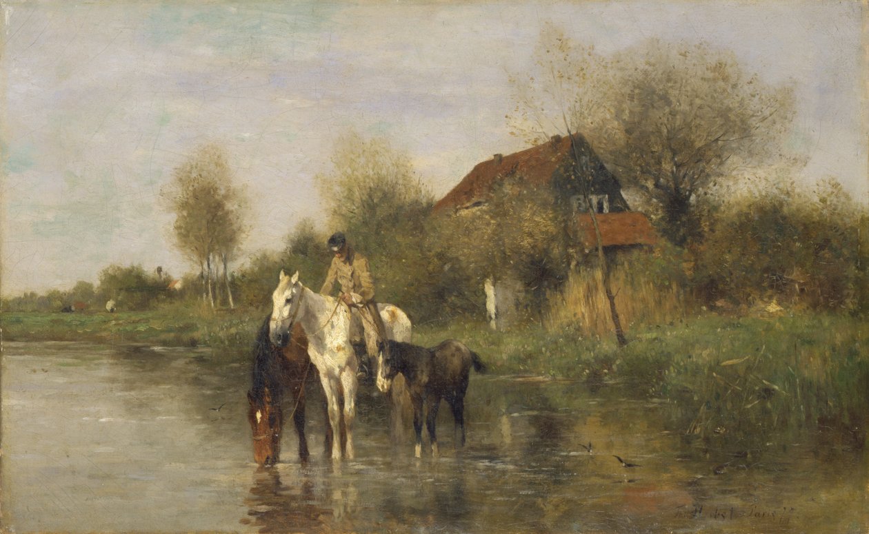 Chevaux à l