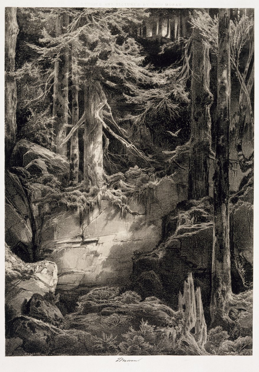 Dans la Forêt de Wissahickon, 1868 - Thomas Moran