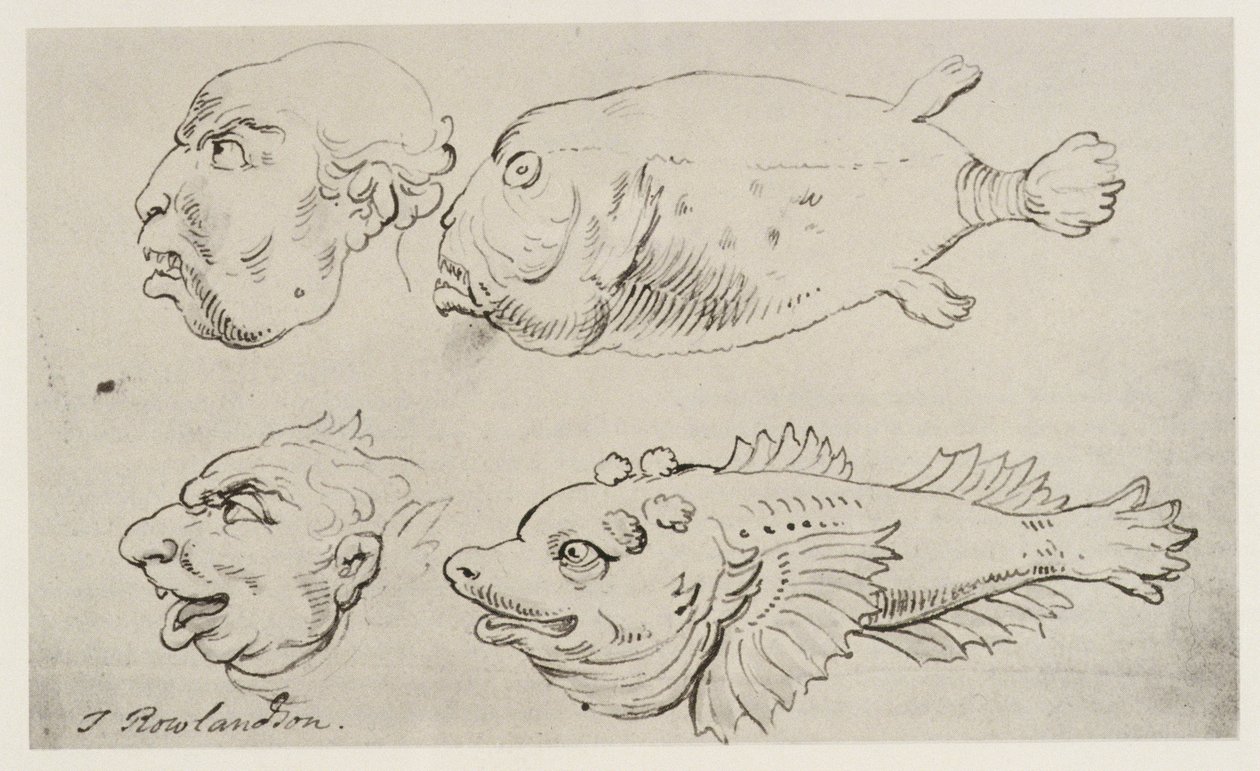 Têtes anthropomorphes d