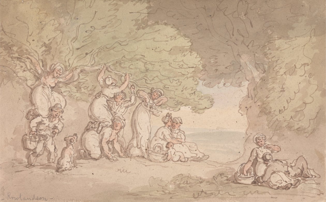 Récolte de fruits et de noix - Thomas Rowlandson
