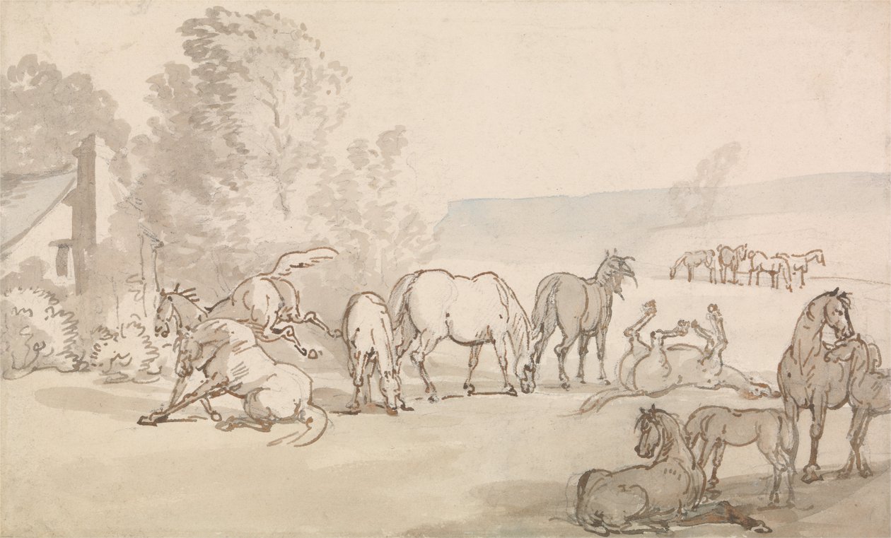 Juments et poulains dans un champ - Thomas Rowlandson
