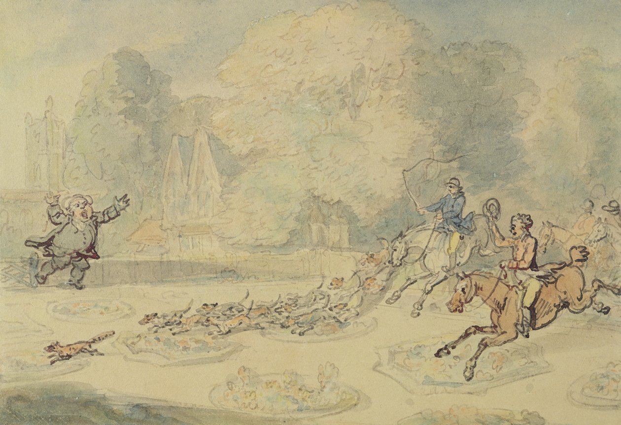 Le botaniste enragé - Thomas Rowlandson