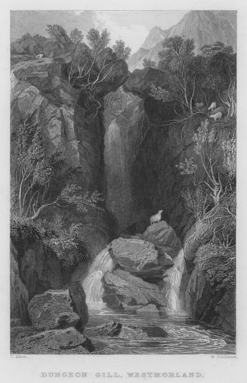 Dungeon Gill, Westmorland - Thomas (after) Allom