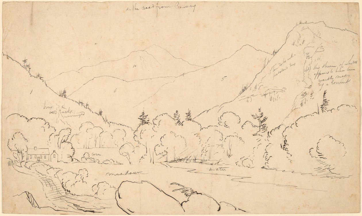 Sur la route de Conway - Thomas Cole