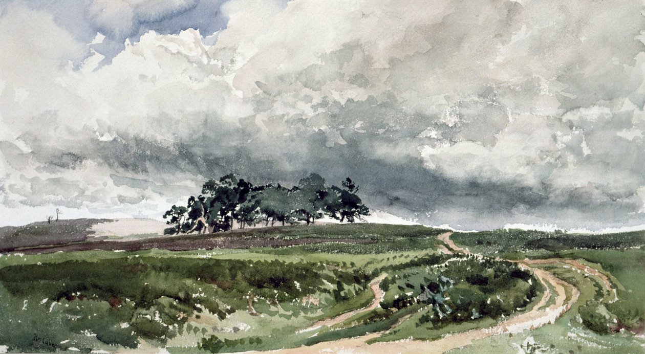 Scène de lande - Thomas Collier