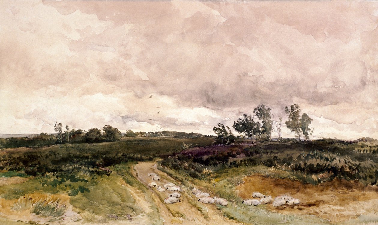 Scène de lande - Thomas Collier