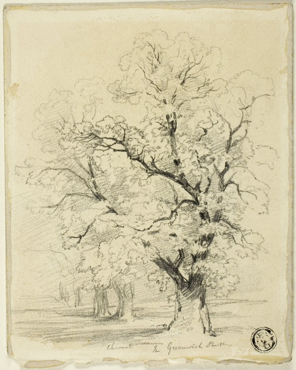 Ches[t]nut dans le parc de Greenwich - Thomas Creswick