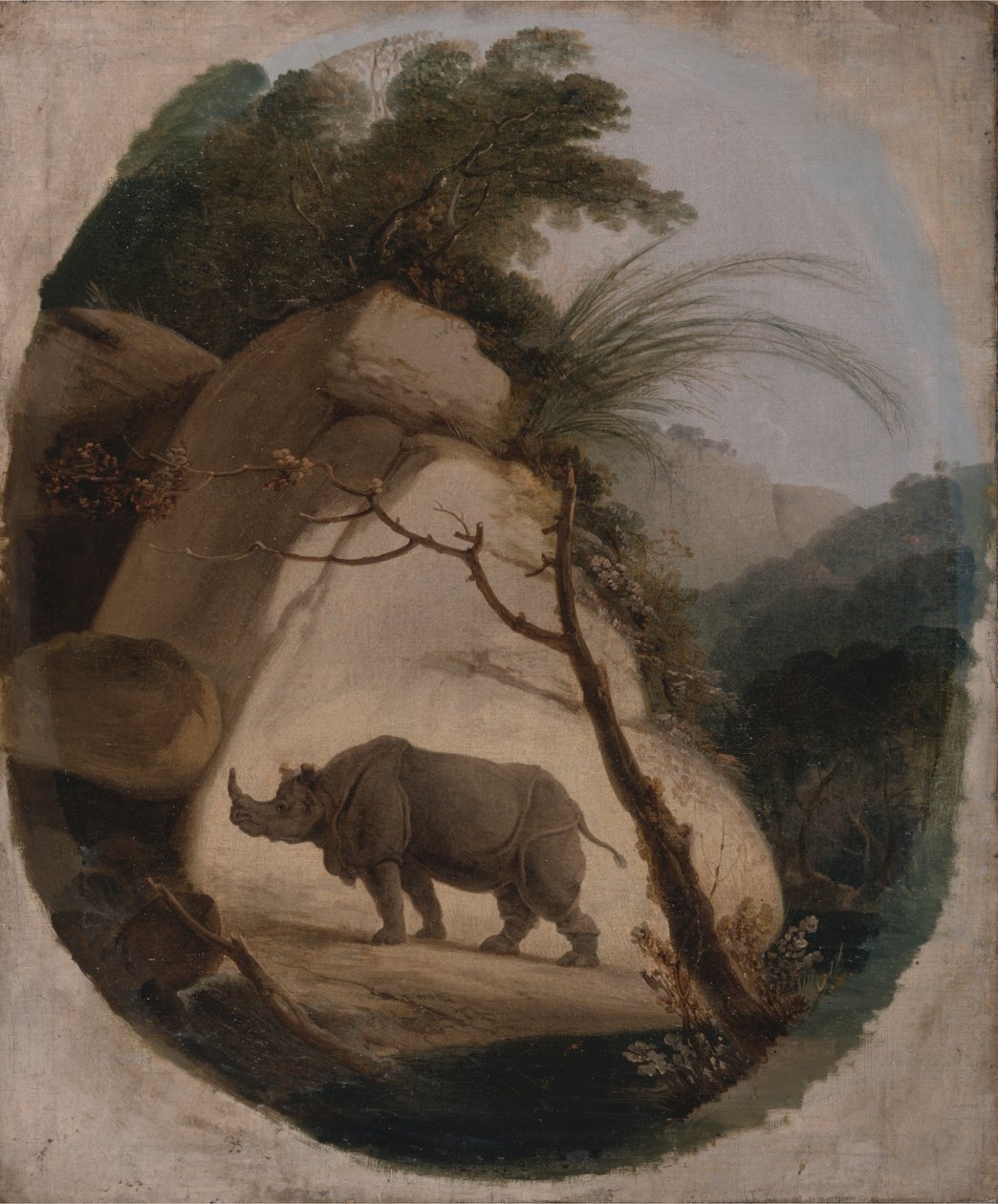 Le rhinocéros indien - Thomas Daniell