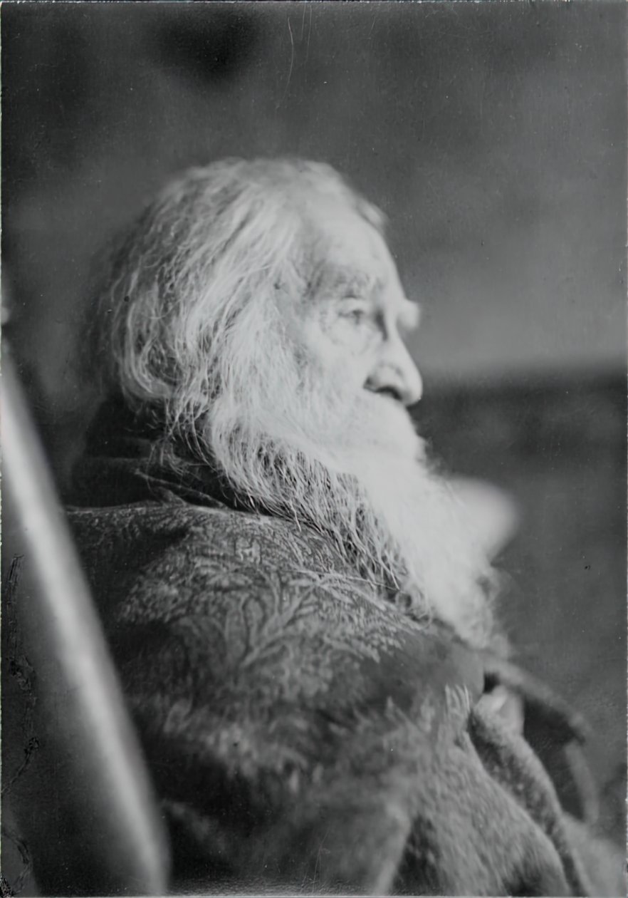 Walt Whitman à Camden, N.J. - Thomas Eakins