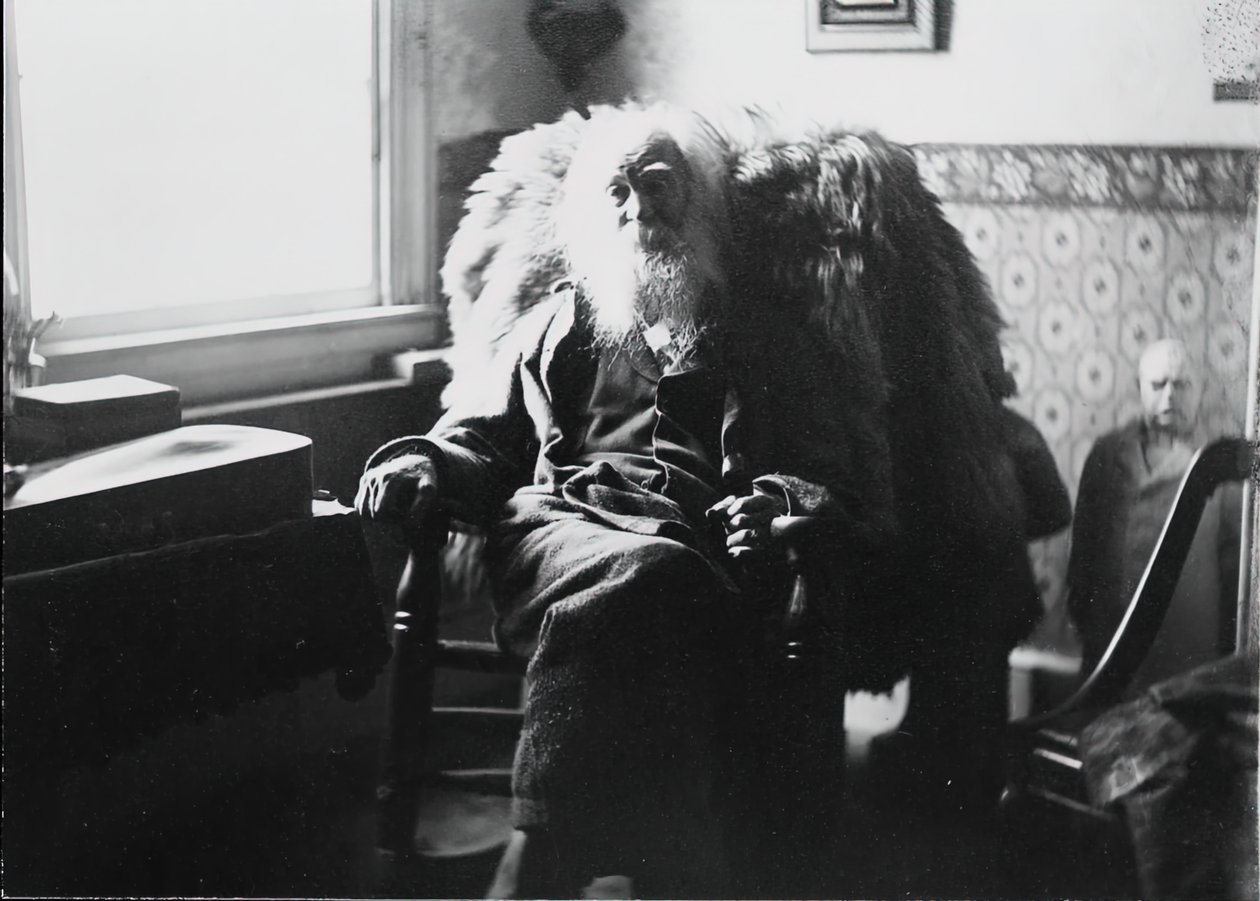 Walt Whitman à Camden, N.J. - Thomas Eakins