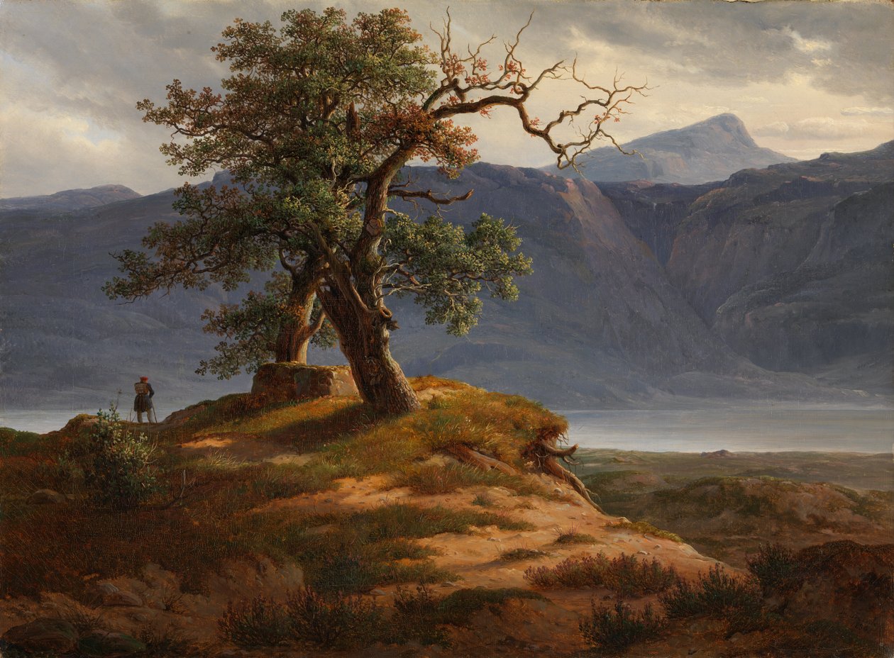 Paysage avec voyageur - Thomas Fearnley