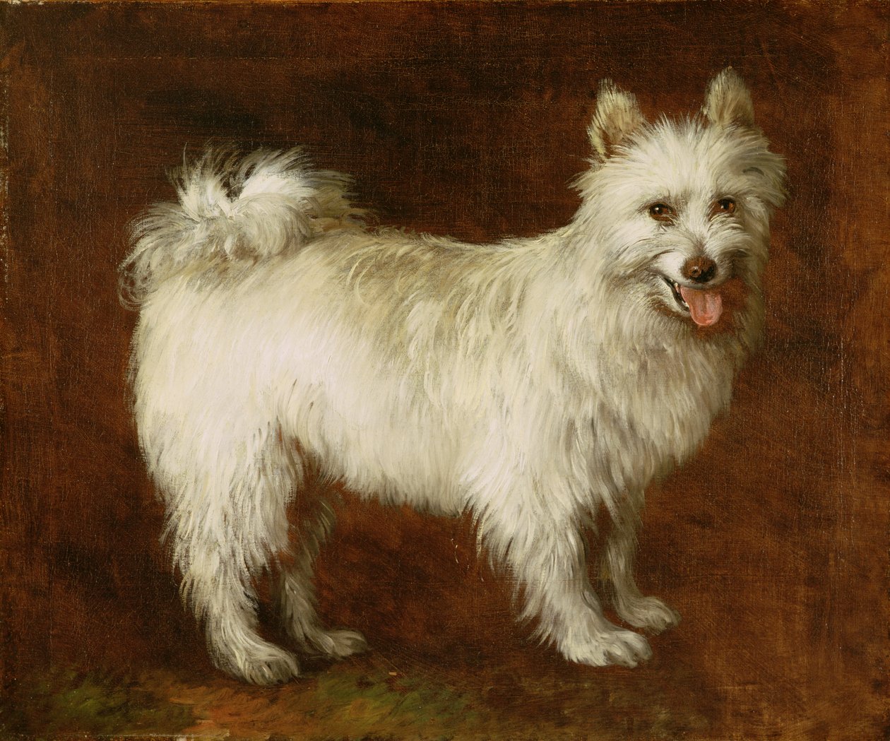 Chien Spitz - Thomas Gainsborough