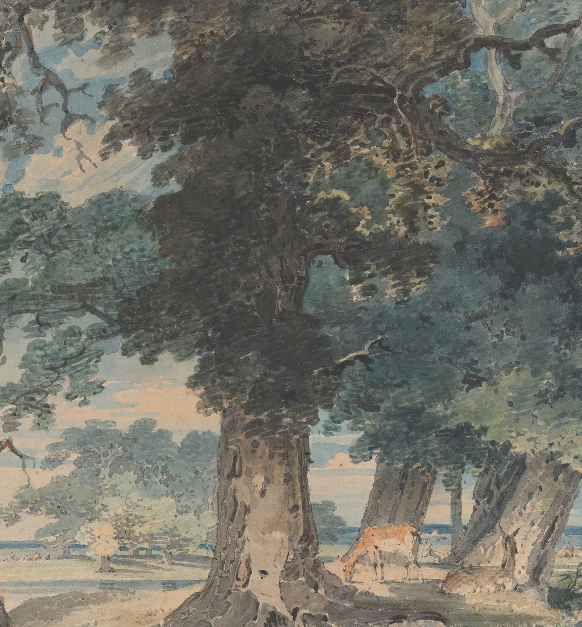 Cerfs dans la forêt de Windsor, 1793-94 - Thomas Girtin