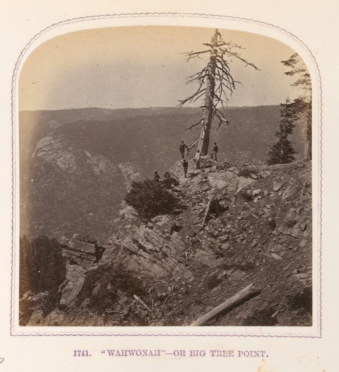"Wahwonah" - ou Big Tree Point - Thomas Houseworth