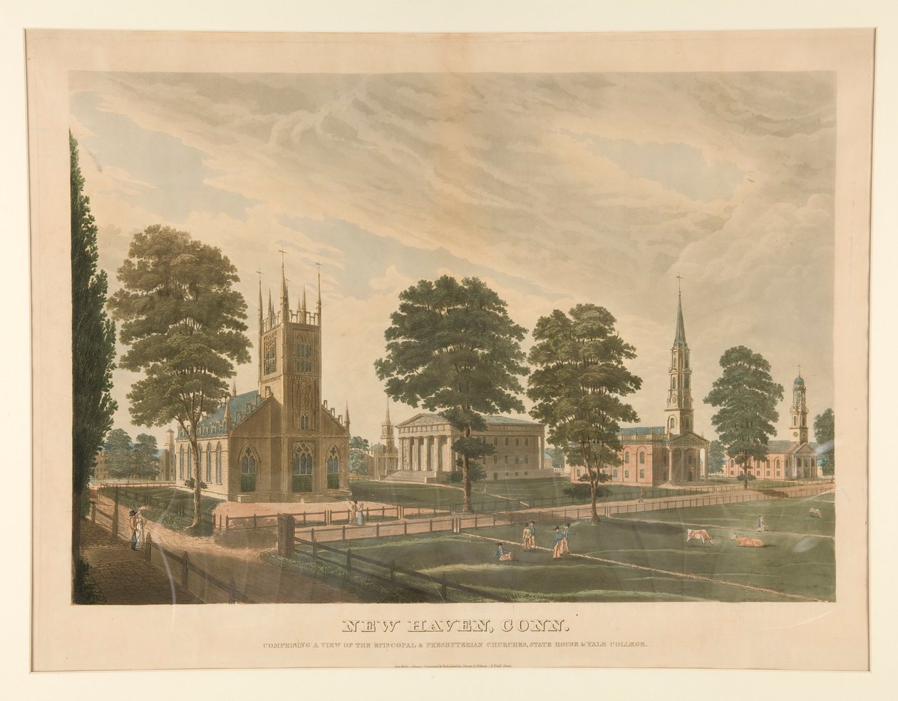 New Haven, Conn. (Stokes 30) - Thomas Illman