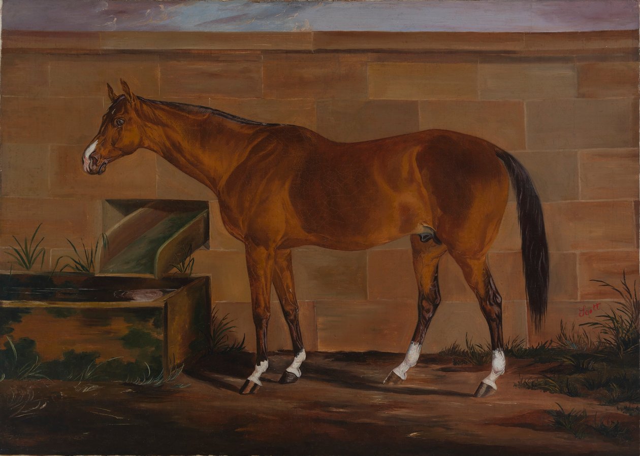 Portrait de Lexington - Thomas J. Scott