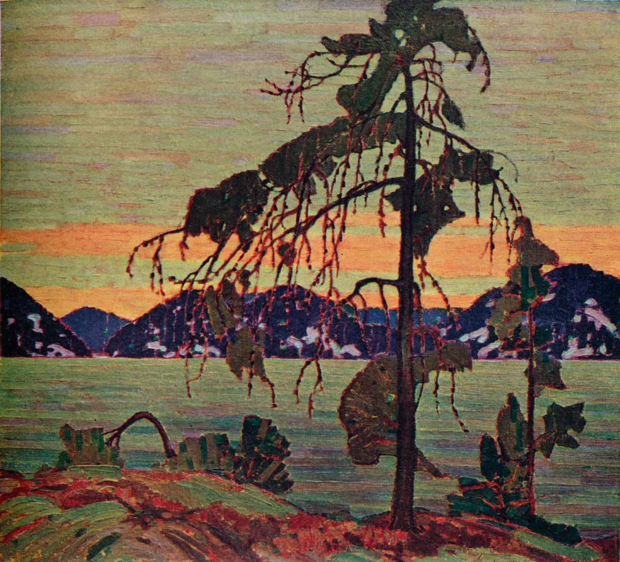 Le pin gris, 1917, 1925 - Tom Thomson