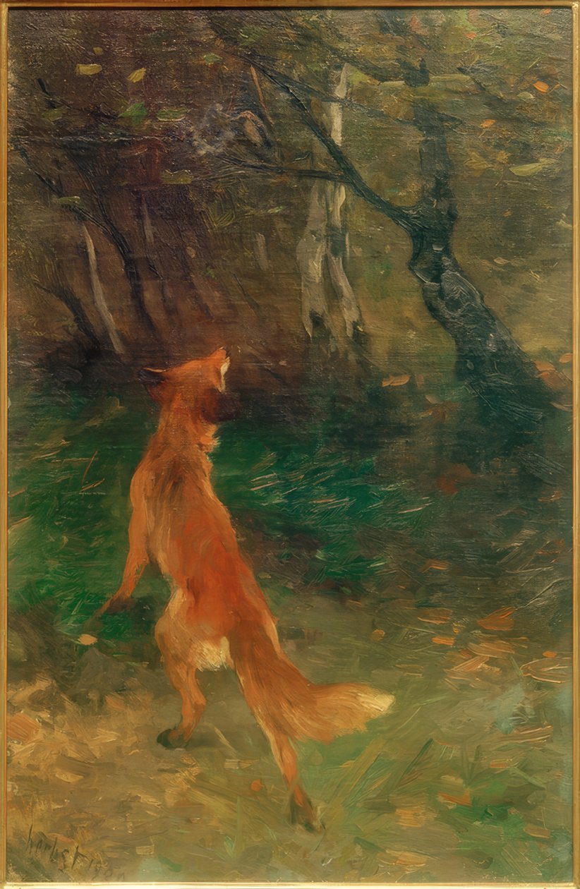 Renard observant un oiseau - Thomas Ludwig Herbst