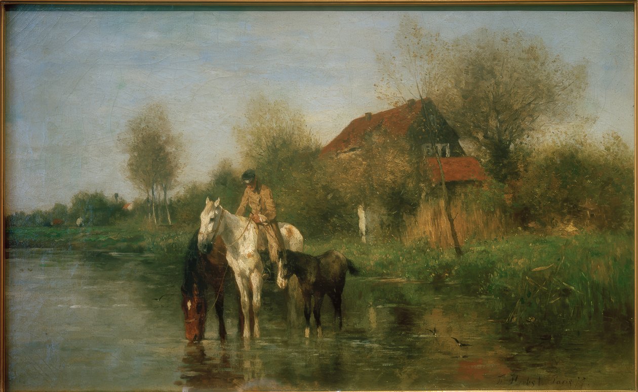 Chevaux près de l
