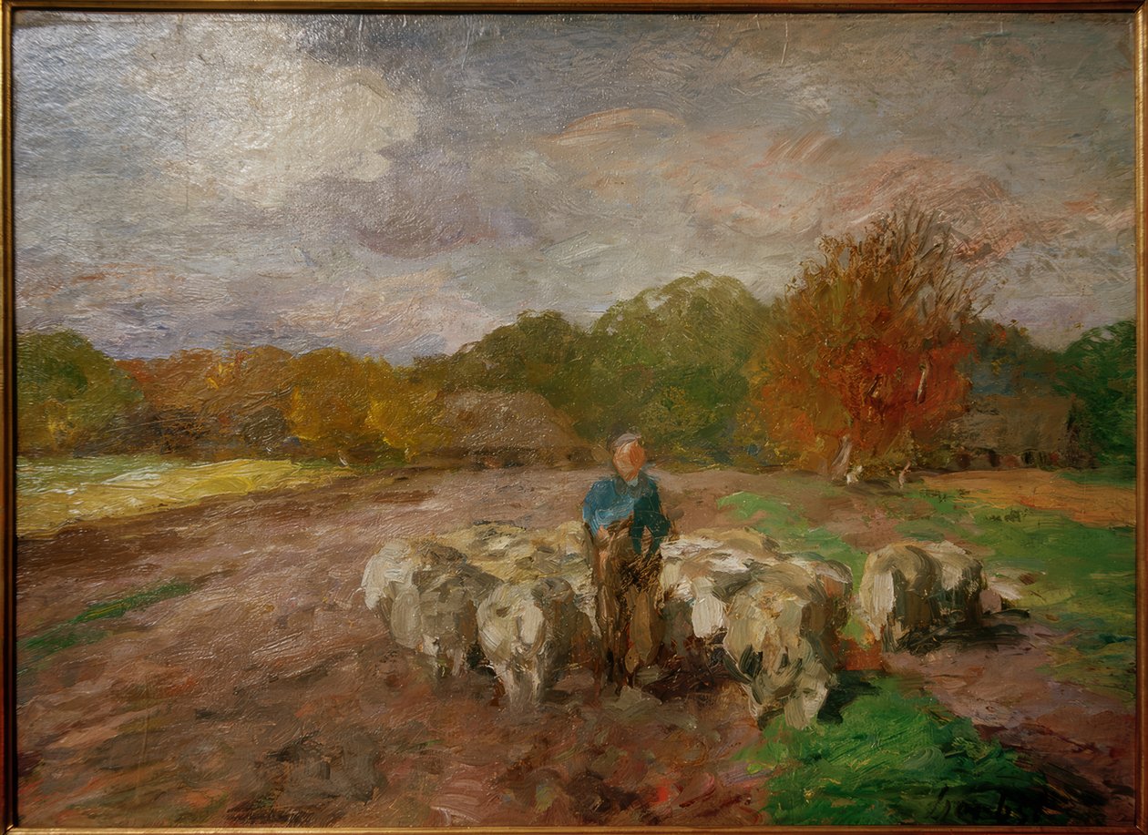 Troupeau de moutons au soleil - Thomas Ludwig Herbst