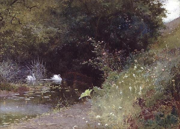 Cygnes sur un lac - Thomas Mackay