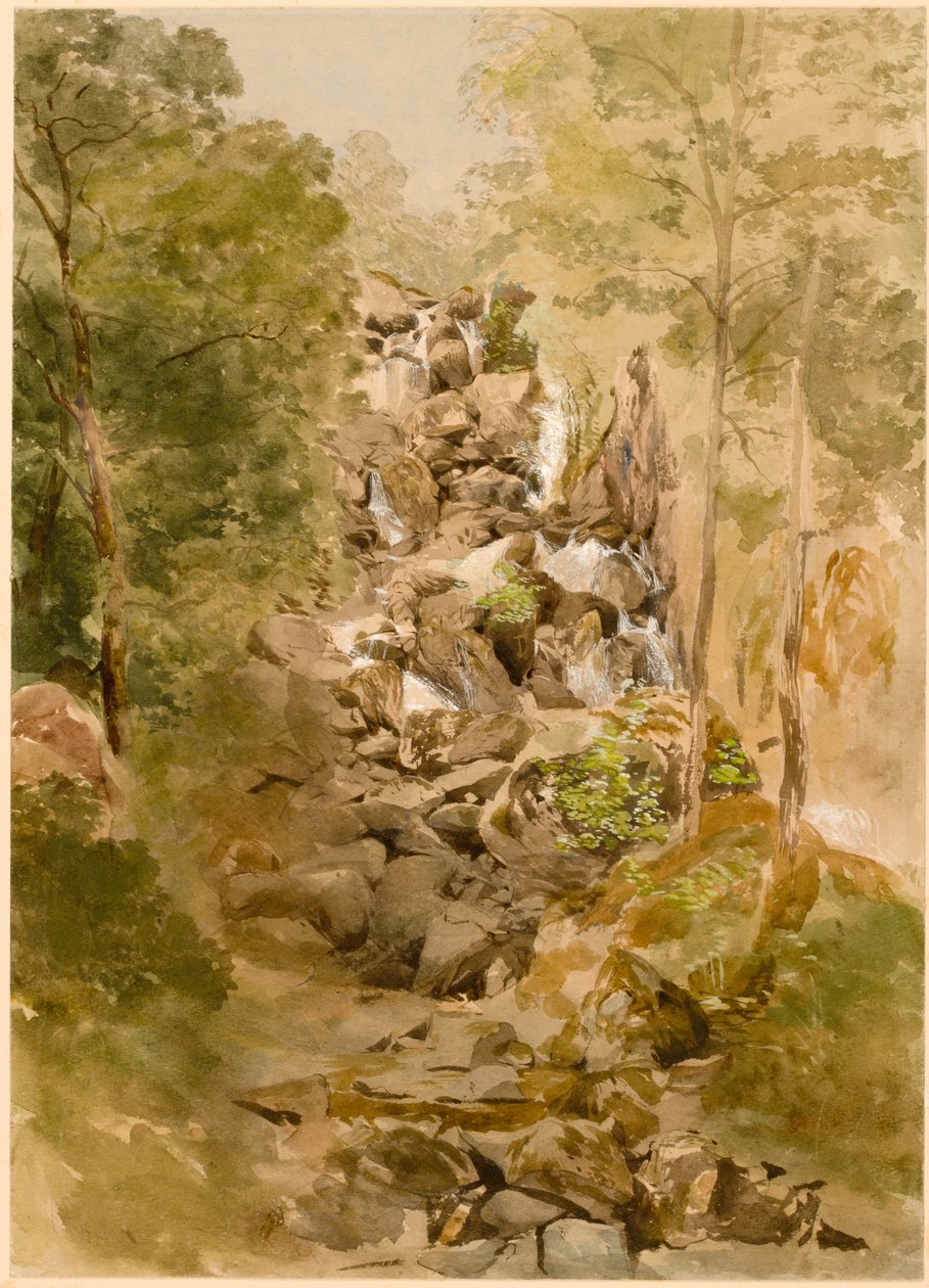 Paysage avec cascade - Thomas Miles Richardson