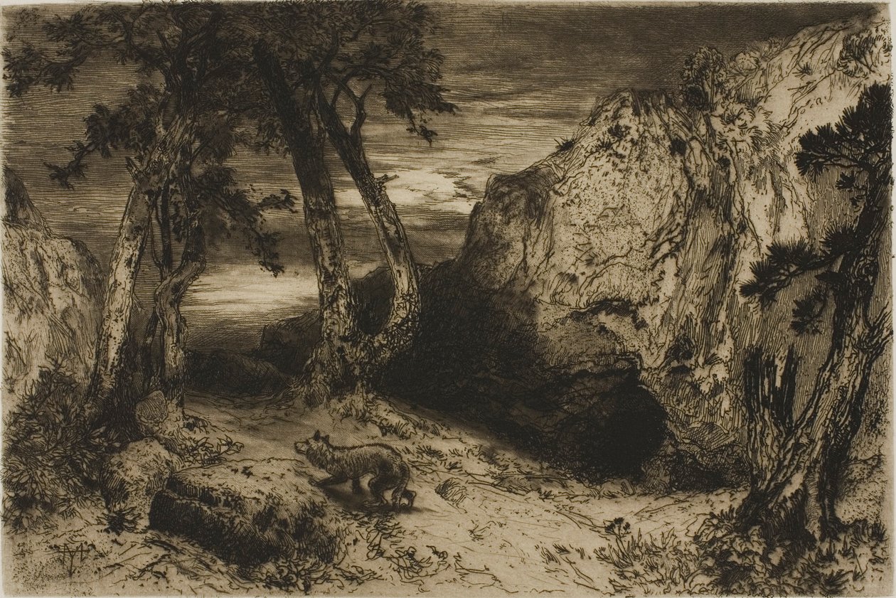 Le Coyote - Arizona - Thomas Moran