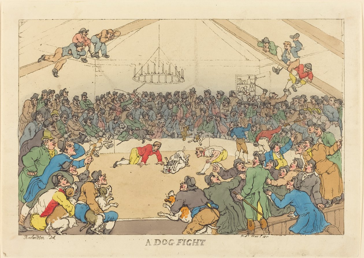 Un combat de chiens - Thomas Rowlandson