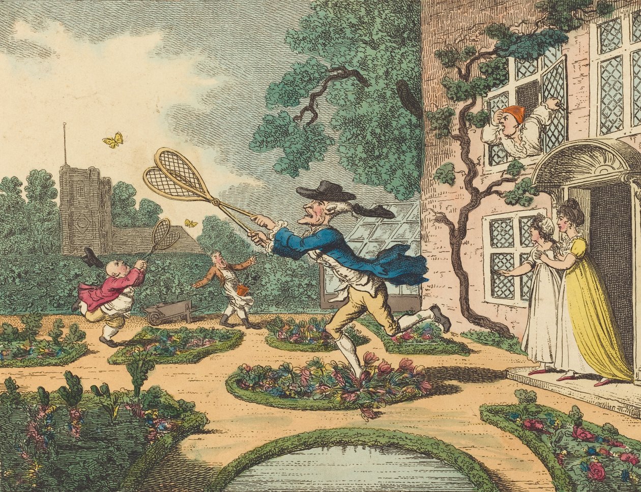 Chasse aux papillons, 1806 - Thomas Rowlandson