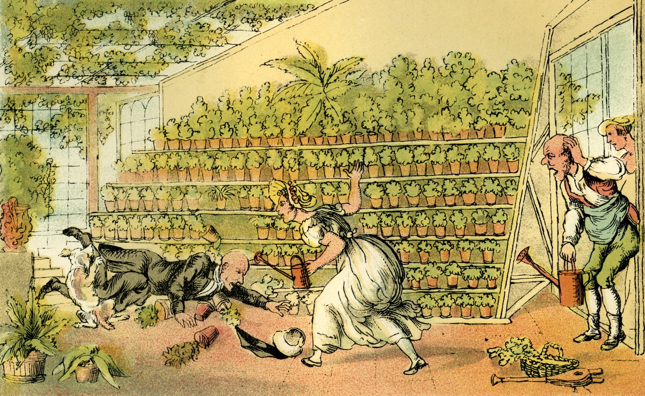 Malheur à Tulip Hall - Thomas Rowlandson