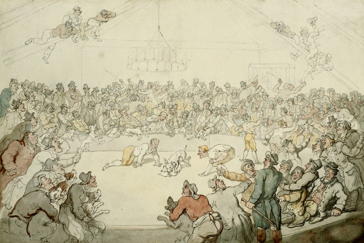 Le Westminster Pitt, 1798 - Thomas Rowlandson