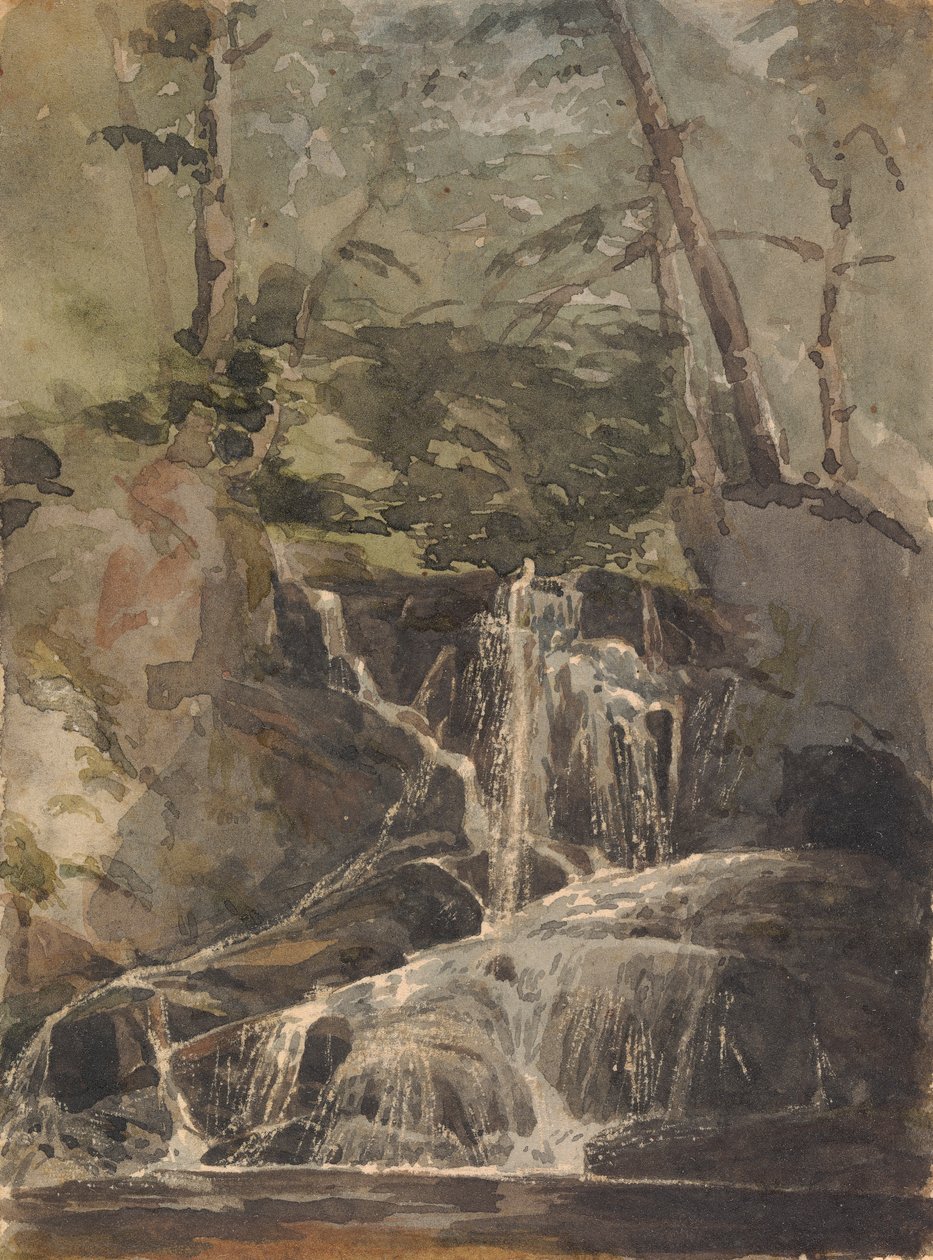Petite cascade en forêt - Thomas Sully