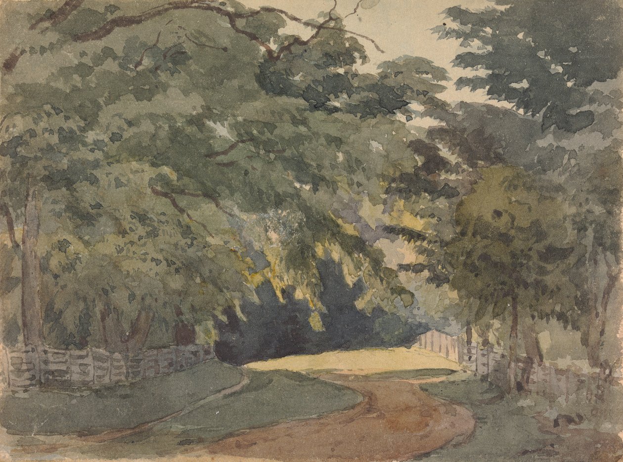 Allée bordée d