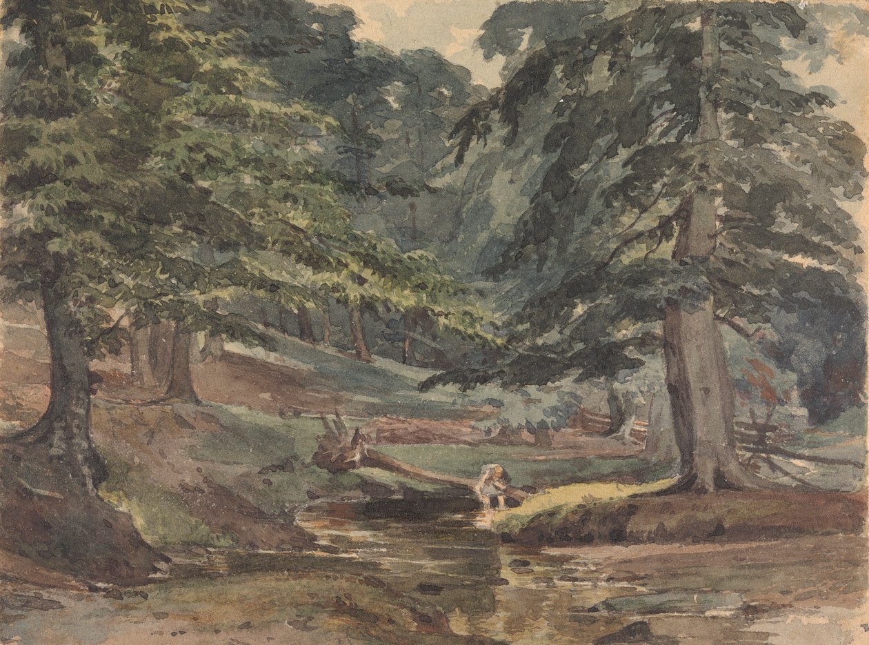 Scène de rivière boisée - Thomas Sully