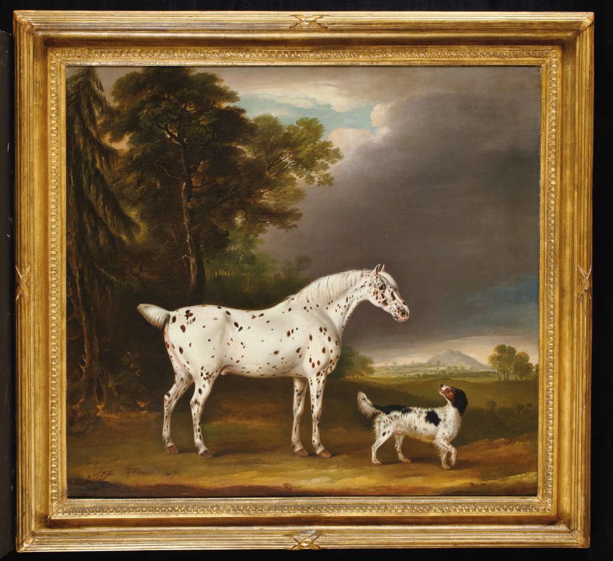 Cheval Appaloosa et épagneul, 1807 - Thomas Weaver