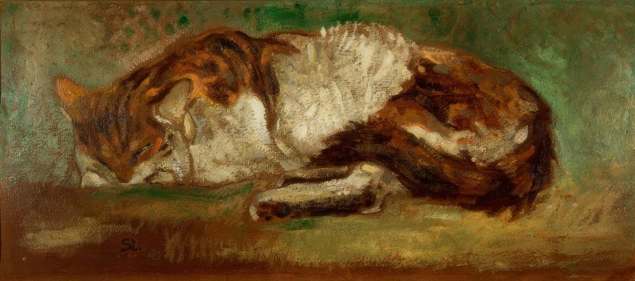 Chat endormi - Théophile Alexandre Steinlen