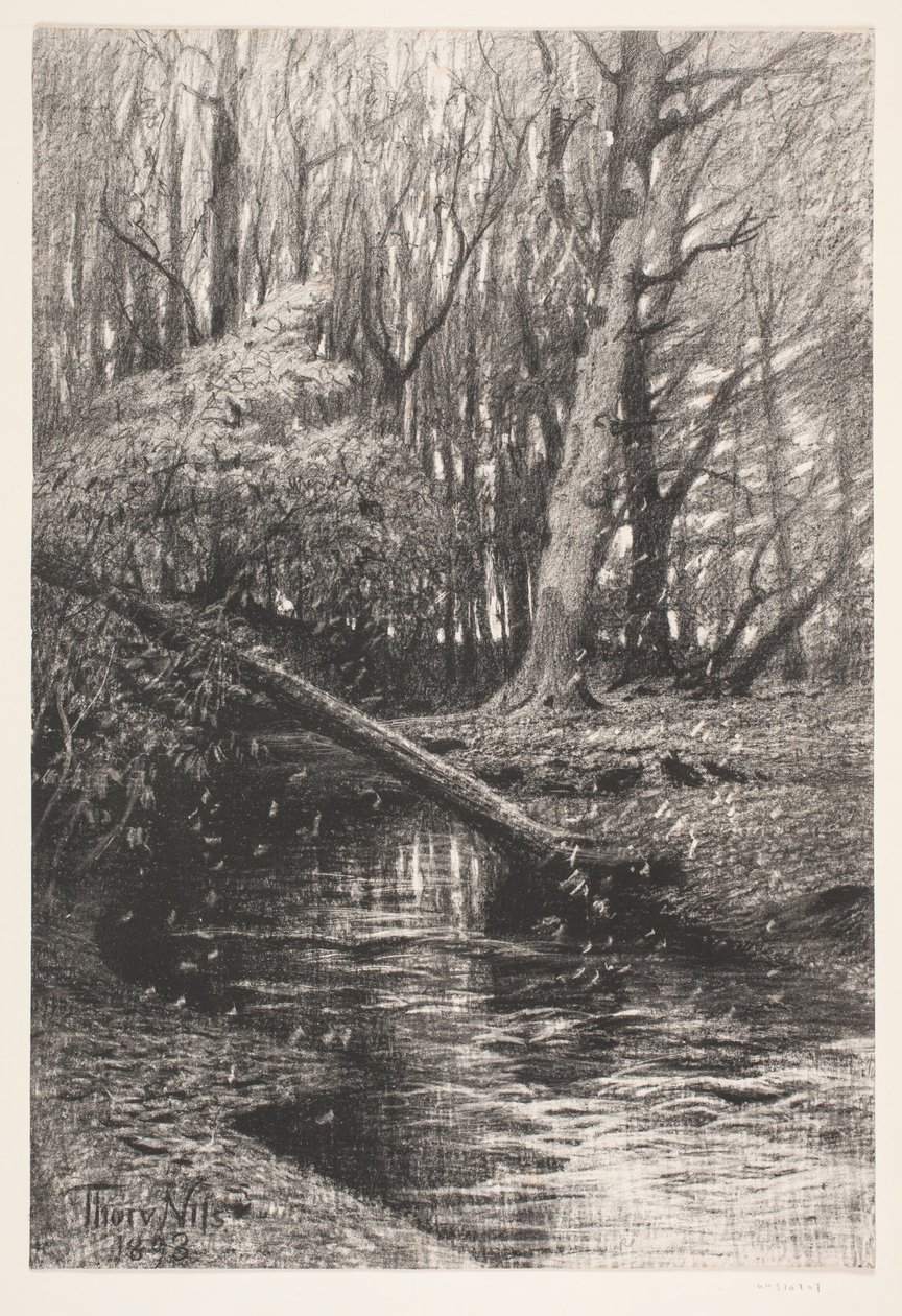Paysage forestier avec un ruisseau - Thorvald Niss