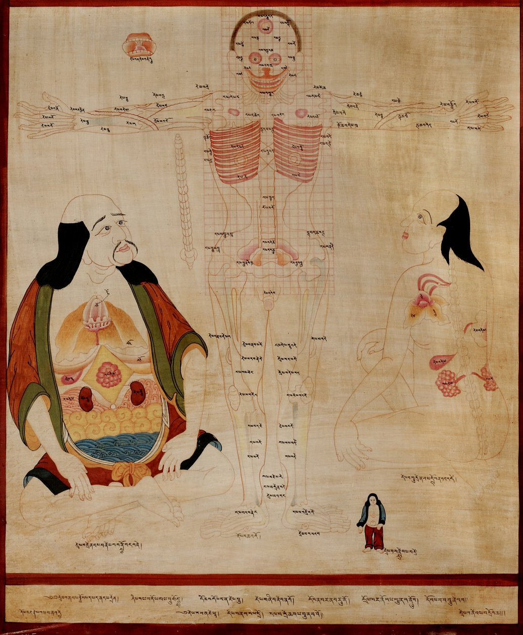 Manuscrit montrant les points méridiens - Tibetan School