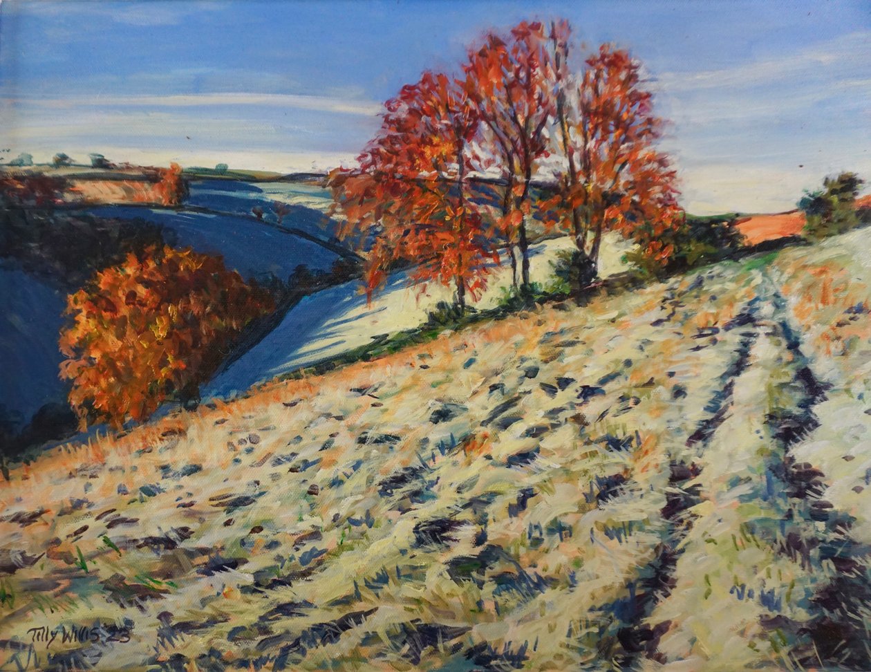 Givre d