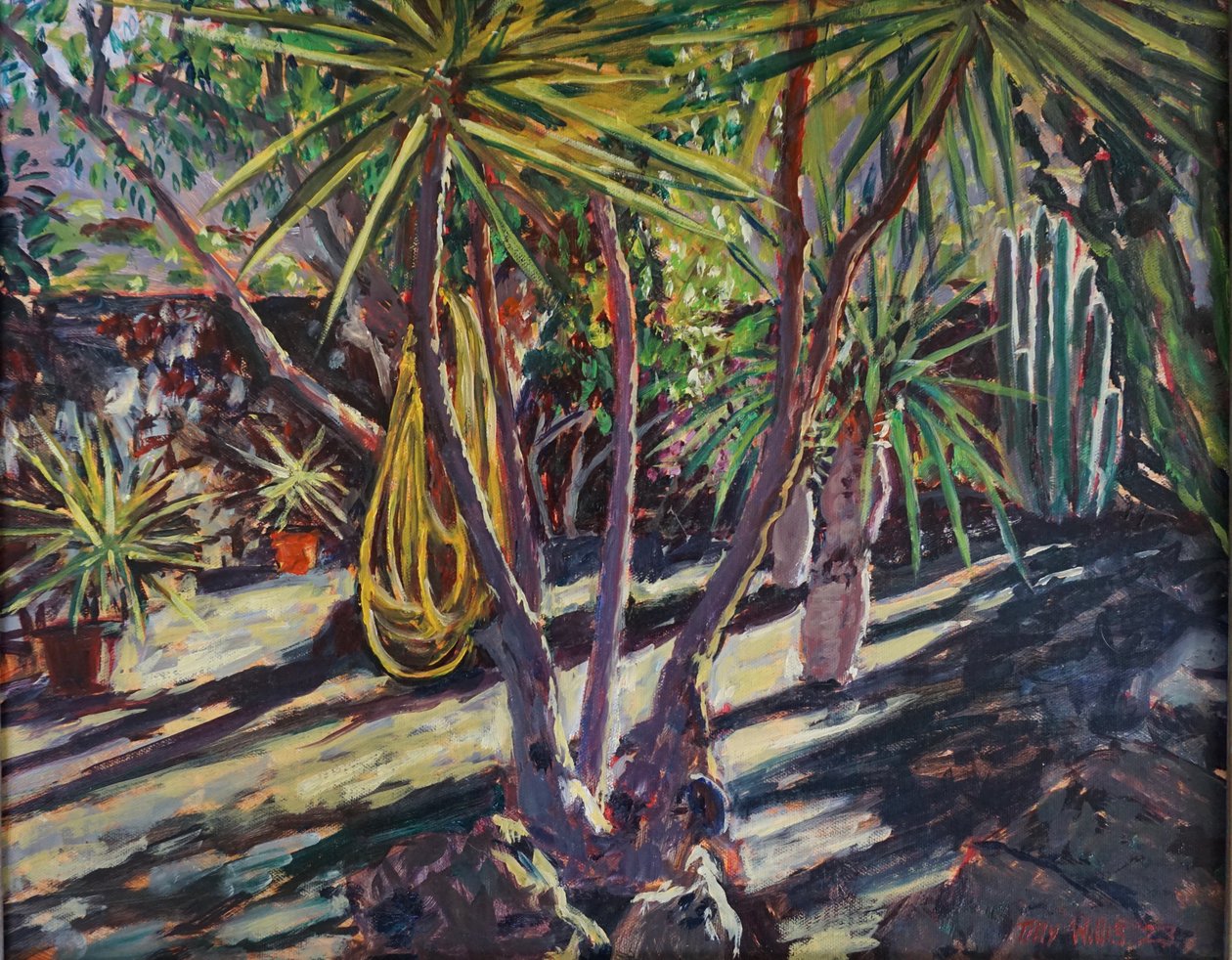 Jardin de cactus espagnol, 2023 - Tilly Willis