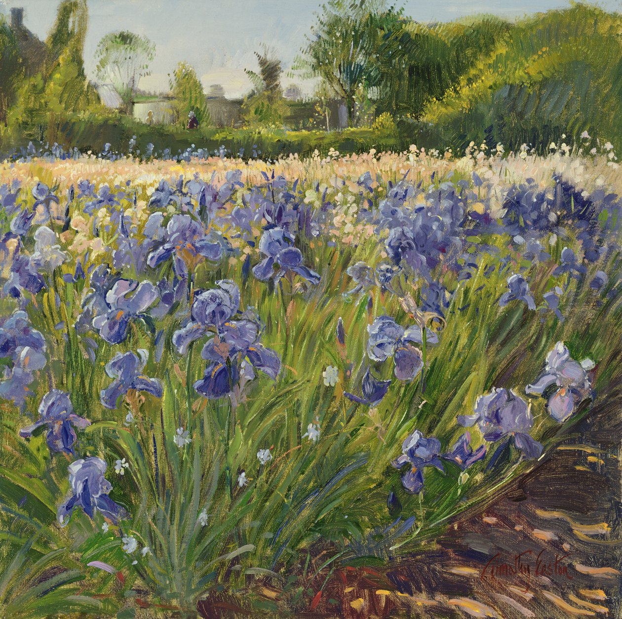Au-dessus des iris bleus - Timothy Easton