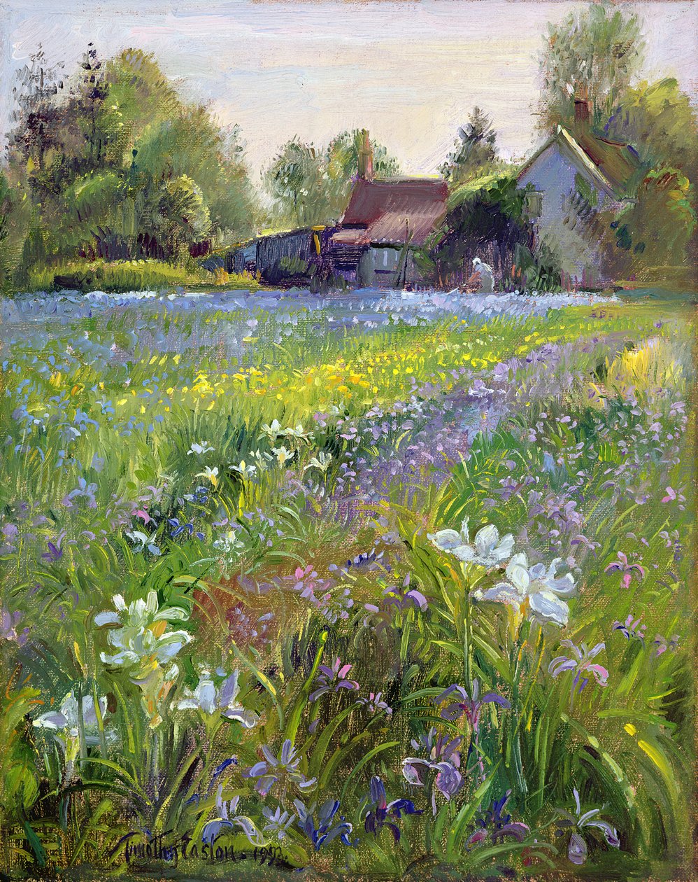 Iris nains et cottage, 1993 - Timothy Easton