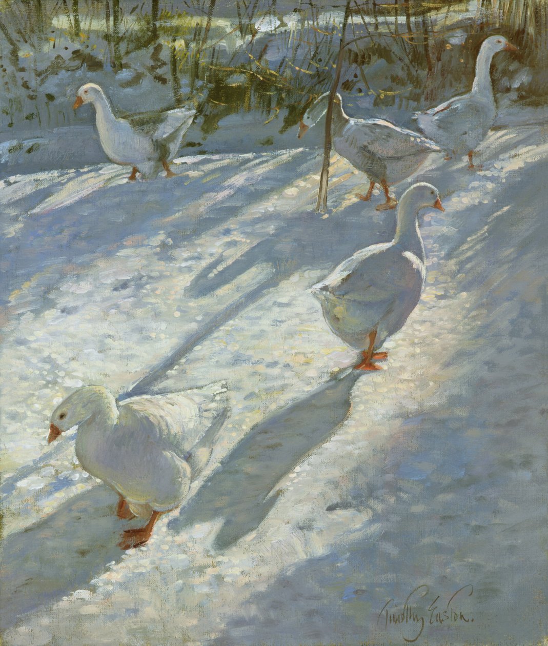 Exploration de la pente - Timothy Easton