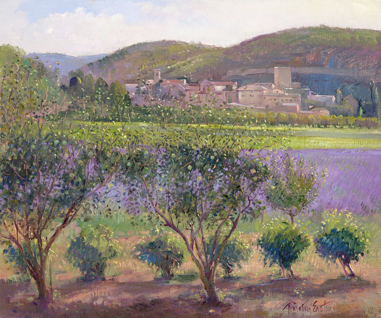 Lavande vue à travers les cognassiers, Monclus - Timothy Easton