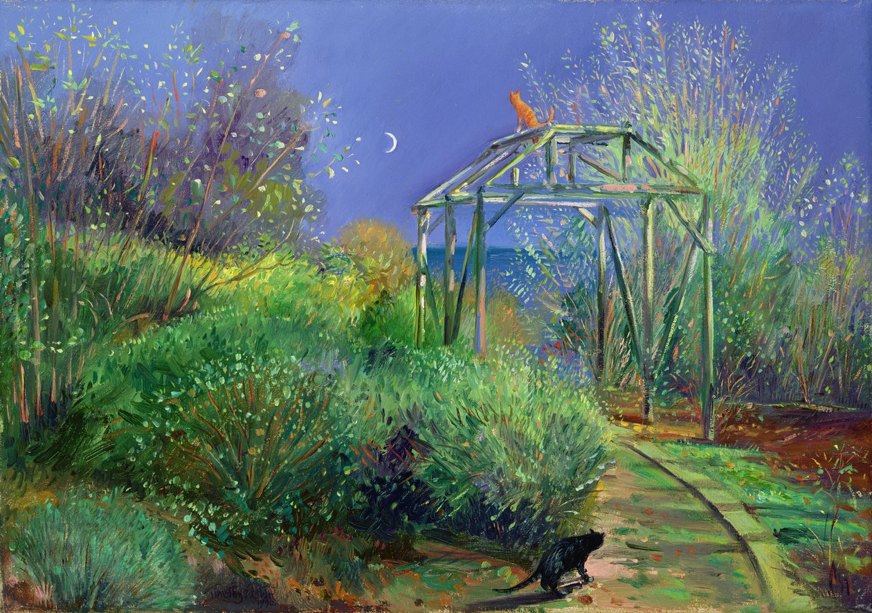 Réjouissances Nocturnes - Timothy Easton